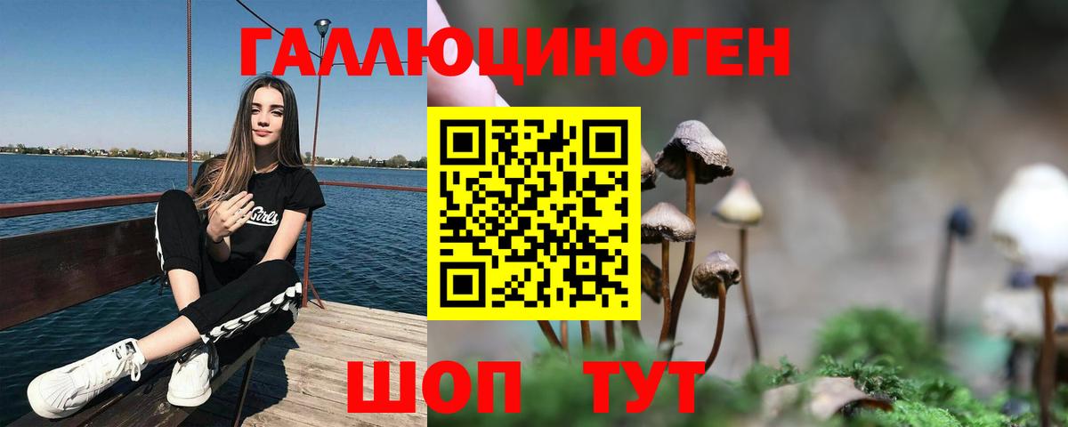 Псилоцибиновые грибы Psilocybe Видное